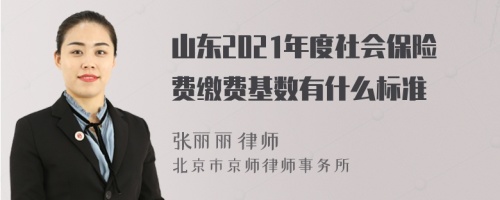 山东2021年度社会保险费缴费基数有什么标准