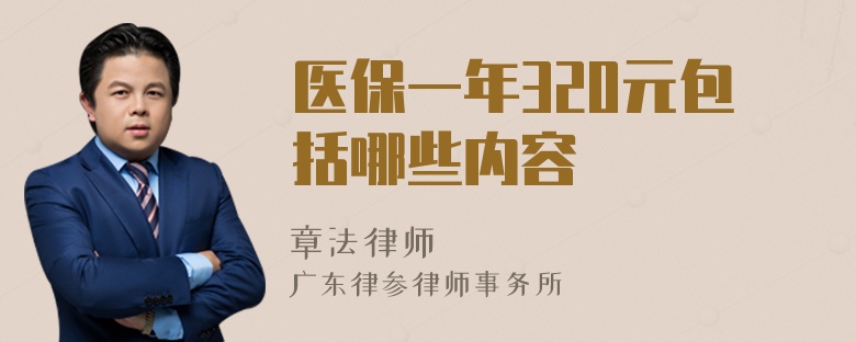 医保一年320元包括哪些内容