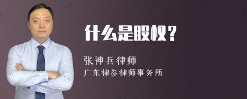 什么是股权？