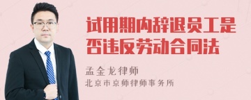 试用期内辞退员工是否违反劳动合同法