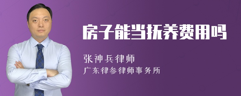 房子能当抚养费用吗