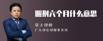 服刑六个月什么意思