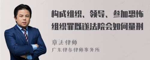 构成组织、领导、参加恐怖组织罪既遂法院会如何量刑