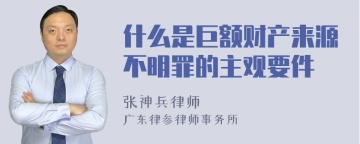 什么是巨额财产来源不明罪的主观要件