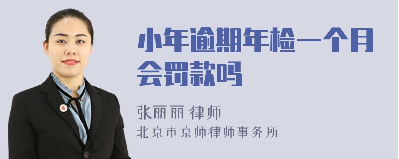 小年逾期年检一个月会罚款吗
