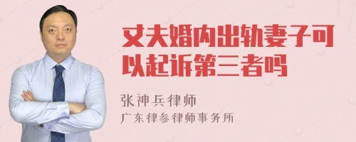 丈夫婚内出轨妻子可以起诉第三者吗