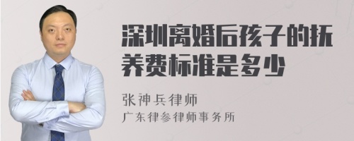 深圳离婚后孩子的抚养费标准是多少