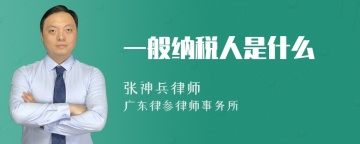 一般纳税人是什么