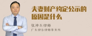 夫妻财产约定公示的原因是什么