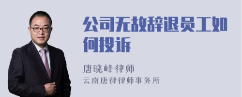 公司无故辞退员工如何投诉