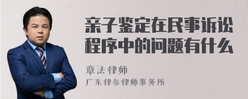 亲子鉴定在民事诉讼程序中的问题有什么