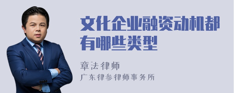 文化企业融资动机都有哪些类型