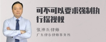 可不可以要求强制执行探视权