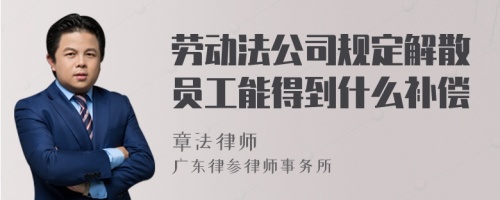 劳动法公司规定解散员工能得到什么补偿