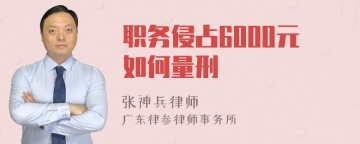 职务侵占6000元如何量刑