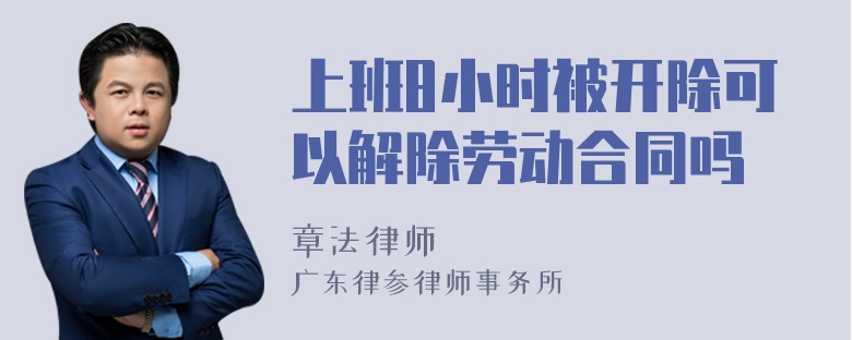 上班8小时被开除可以解除劳动合同吗