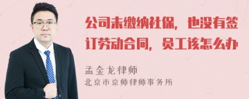 公司未缴纳社保，也没有签订劳动合同，员工该怎么办