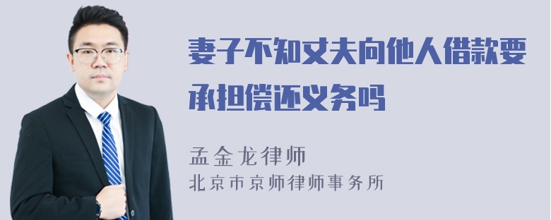 妻子不知丈夫向他人借款要承担偿还义务吗