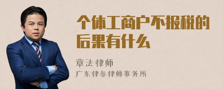 个体工商户不报税的后果有什么