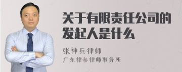 关于有限责任公司的发起人是什么