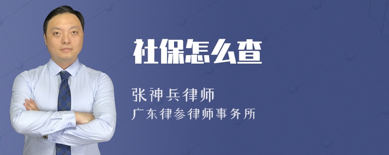 社保怎么查