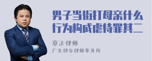 男子当街打母亲什么行为构成虐待罪其二