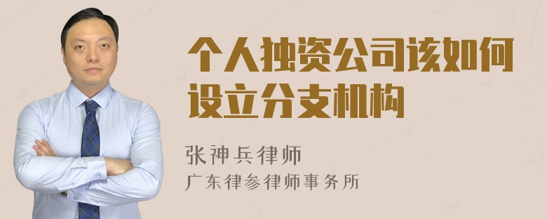 个人独资公司该如何设立分支机构