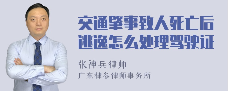 交通肇事致人死亡后逃逸怎么处理驾驶证