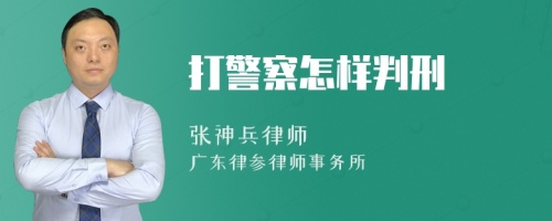 打警察怎样判刑