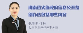 湖南省实施政府信息公开条例办法包括哪些内容