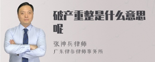 破产重整是什么意思呢