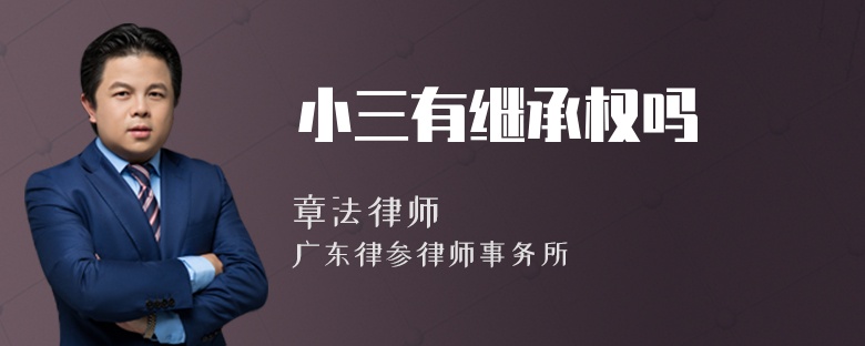 小三有继承权吗