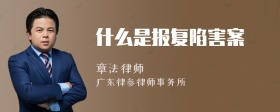 什么是报复陷害案