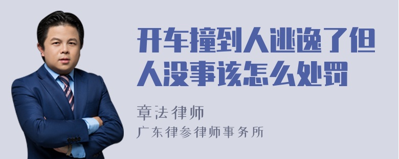 开车撞到人逃逸了但人没事该怎么处罚