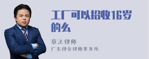 工厂可以招收16岁的么