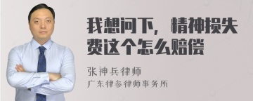 我想问下，精神损失费这个怎么赔偿