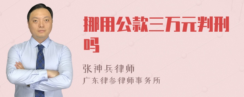 挪用公款三万元判刑吗