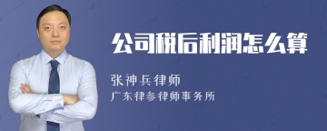 公司税后利润怎么算