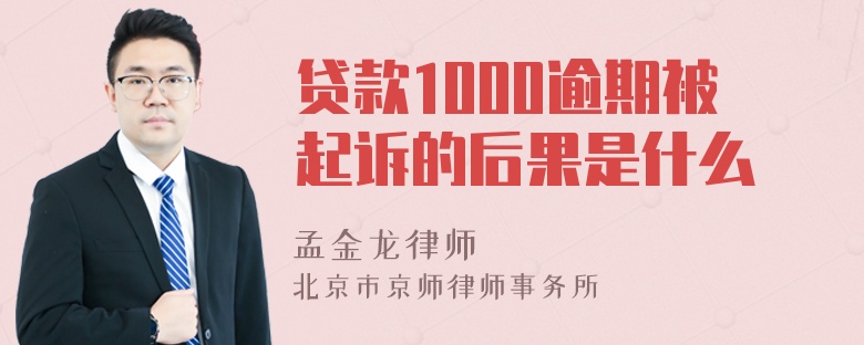 贷款1000逾期被起诉的后果是什么