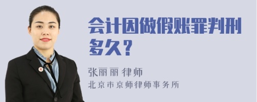 会计因做假账罪判刑多久？