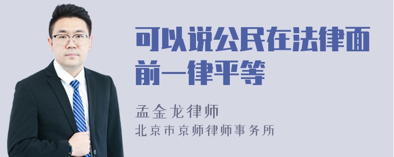 可以说公民在法律面前一律平等