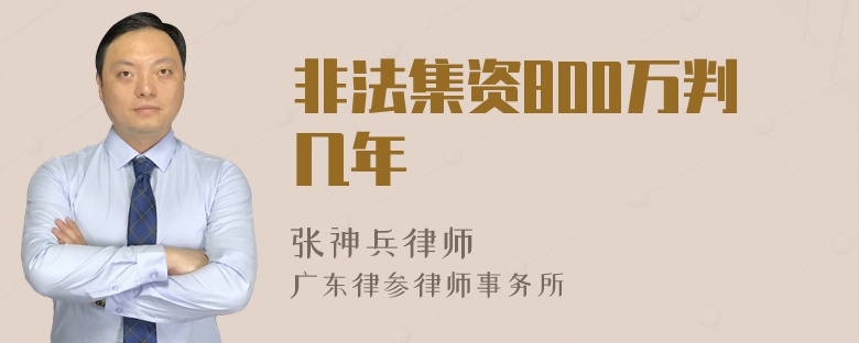 非法集资800万判几年