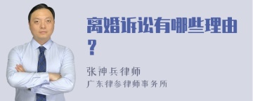 离婚诉讼有哪些理由？