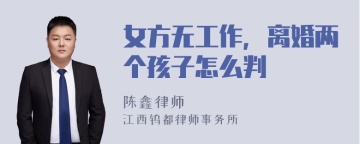 女方无工作，离婚两个孩子怎么判