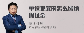 单位犯罪的怎么缴纳保证金