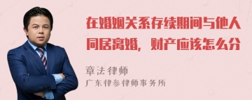 在婚姻关系存续期间与他人同居离婚，财产应该怎么分