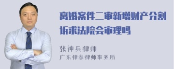 离婚案件二审新增财产分割诉求法院会审理吗