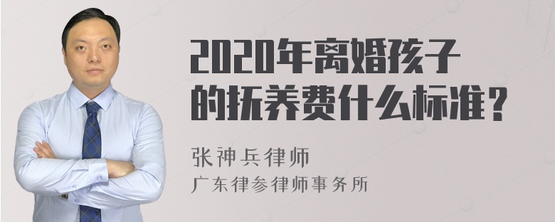 2020年离婚孩子的抚养费什么标准？