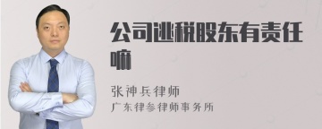 公司逃税股东有责任嘛