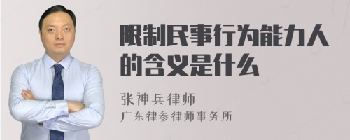 限制民事行为能力人的含义是什么